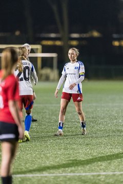 Bild 168 - wBJ Hamburger SV - Eimsbuettler TV 2 : Ergebnis: 16:0